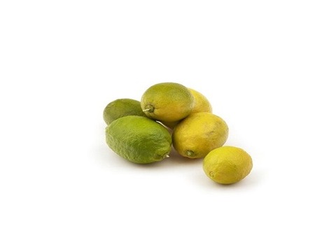 خرید و قیمت لیمو ترش سنگی جنوب + فروش صادراتی